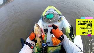 Pesca de Boguitas en Kayak (Escualo de Navío Kayak)