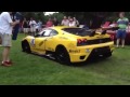 Executive Automotive Society : Supercar Vines