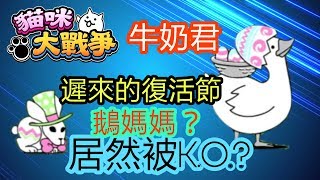 #牛奶君# 貓咪大戰爭-復活節居然發生這種事件？！鵝媽媽？差點被K.O.