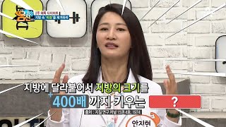 다양한 다이어트 방법 중 '해독 다이어트'를 제안한 이유는? | 나는 몸신이다 335 회