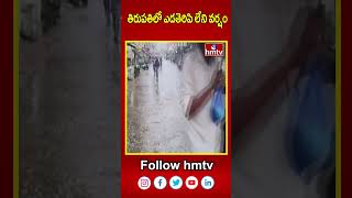 తిరుపతిలో ఎడతెరిపి లేని వర్షం | Heavy Rains In Tirumala | hmtv