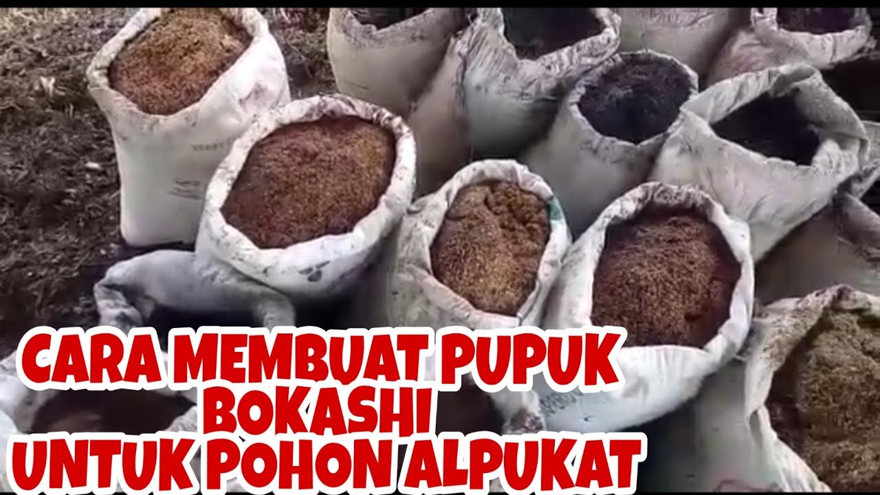 CARA MEMBUAT PUPUK BOKASHI SKALA BESAR - YouTube