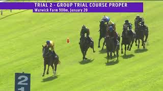 Via Sistina RETURNS with a trial at Warwick Farm