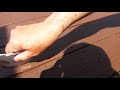 how to paint the cracks of your deck