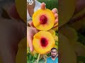 কমলা সেই স্বাদ 😁😍🥰 shorts bonsai fruitcutting