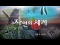 자연의 세계 world of nature_바다생물 그들이 살아가는 법_ 002