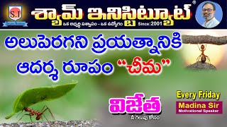 అలుపెరగని ప్రయత్నానికి ఆదర్శం చీమ #motivation   @Shyam Institute -Kakinada