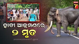 Elephant Attack In Mayurbhanj | ହାତୀ ଆକ୍ରମଣରେ ୨ ଜଣଙ୍କ ମୃତ୍ଯୁ ,୩ ଗୁରୁତର | PrameyaNews7