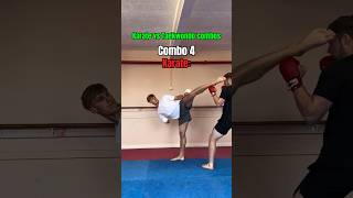 Karate vs Taekwondo COMBOS