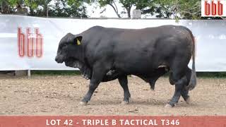 Lot 42 - Triple B Tactical T346