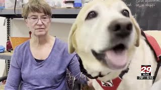 More than a lifesaver, Charlottesville woman and her service dog are ‘better together’