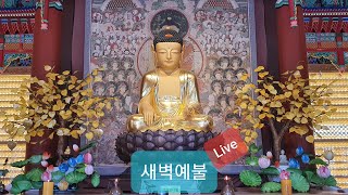 [달마사 새벽예불] 12월 21일 새벽예불