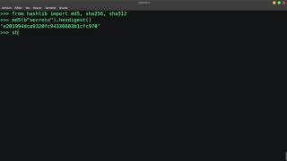 python3 hashlib md5 sha256 sha512 🐍