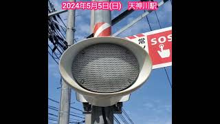 20240505【下りホーム】天神川駅の駅スピーカーと電車の接近音　#shorts