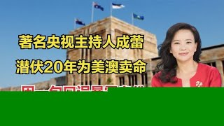 美澳间谍成蕾，潜伏央视20年，因一句口误暴露身份，结局大快人心