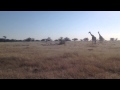 Road Trip - S. Africa, Lesotho, Namibia, Zambia, Zimbabwe, Botswana, Mozambique, Swaziland + Germany