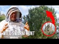 Spring Swarm Traps - Setting Up Old Bee Boxes for New Bees! | The Bush Bee Man