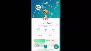 「ポケモンgo 」ようやくミロカロスGET