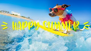 Upbeat Instrumental Work Music ☀️ Background Happy Energetic Relaxing Music for