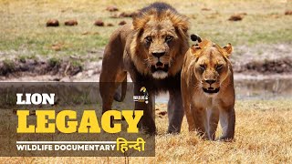 Lion Legacy - हिन्दी डॉक्यूमेंट्री | Animal Planet Hindi documentary, Full Episode