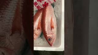 小牧市　スーパー　アルバイト募集　三河屋鮮魚部。本日も新鮮なお魚いっぱいですよ〜