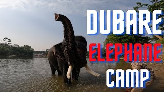 Dubare | ದುಬಾರೆ | Dubare Elephant Camp|  #Dubare #ದುಬಾರೆ #DubareElephantCamp #ದುಬಾರೆ ಆನೆ ಶಿಬಿರ