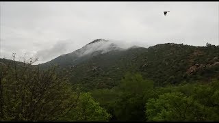 Regeneration work on Arunachala hill