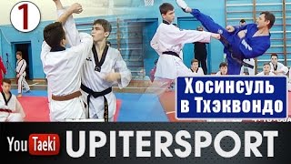 Семинар по тхэквондо - хосинсуль в Костроме_1/ Taekwondo Hosinsool_1