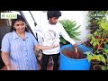 dance master சாண்டி மாடித்தோட்டம் sandy garden tour celebrity garden pasumai vikatan