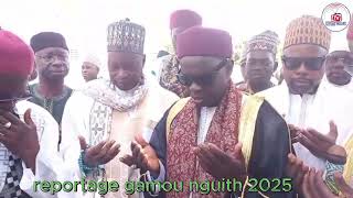 reportage gamou nguith 2025