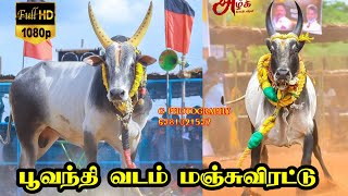 🔴Live (நேரலை) பூவந்தி வடம் மஞ்சுவிரட்டு திருவிழா / Poovanthi  vadam Manjuvirattu