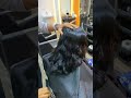 cute kid haircolor hairstyle firsthaircut asmrhaircut hair sharphaircut asmr