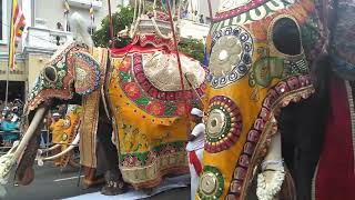 Dalada Maligawe Dawal Perahera / දවල් පෙරහැර