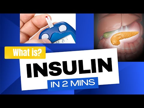 How does insulin affect metabolism?