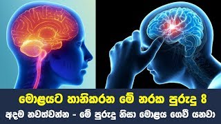 මොළයට හානිකරන මේ නරක පුරුදු 8 අදම නවත්වන්න | Top 8 Brain Damaging Habits