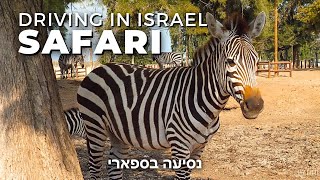 Driving through African Safari in Israel • 2021 🇮🇱