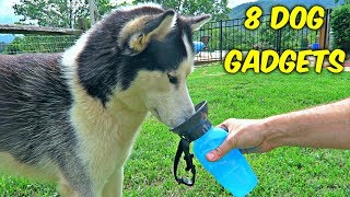 8 Dog Gadgets put to the Test
