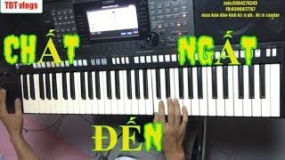 sầu tím thiệp hồng hướng dẫn đệm sầu tím thiệp hồng organ|TĐT vlogs