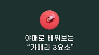 와..? ㅈㄴ신기하다 [사진강의 맞음]