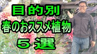 [ガーデニング] 目的別 春のオススメ植物5選「キャリア28年のプロガーデナーが入荷したオススメ植物たち」