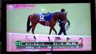 2020　パドック　阪神ジュベナイルフィリーズ　1600m