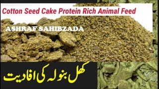 KHAL BANOLA (COTTON SEED CAKE) DR.ASHRAF SAHIBZADA.wmv