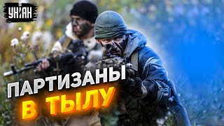 Украинские партизаны кошмарят оккупантов в тылу – новые подвиги