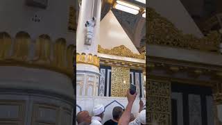 Beautiful View Of Riaz Ul Jannah|| رياض الجنه #shorts #viral #trending #madina