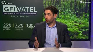 Investir dans les forêts avec le GFI Vatel Capital