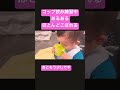 コップ飲み練習中あるある〜ほとんどこぼれる〜【1歳5ヶ月】 shorts ごうけんちゃんねる 1歳男の子