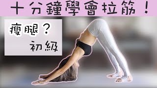 拉筋 10分鐘就學會了！ 瘦腿？老了還來得及拉筋嗎？（初級）Daily Stretching Routine (Beginners)