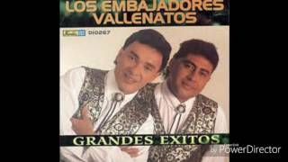 USTED ES LA CULPABLE - Embajadores del Vallenato