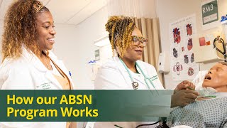 How our ABSN Program Works