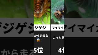 会いたくない虫ランキング　#shorts